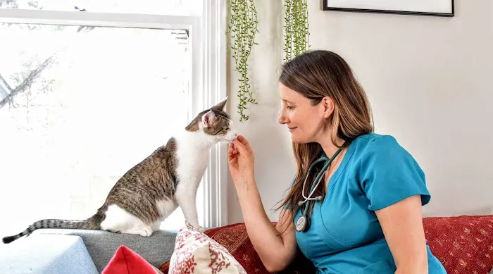 Holistika Veterinary Picture 3