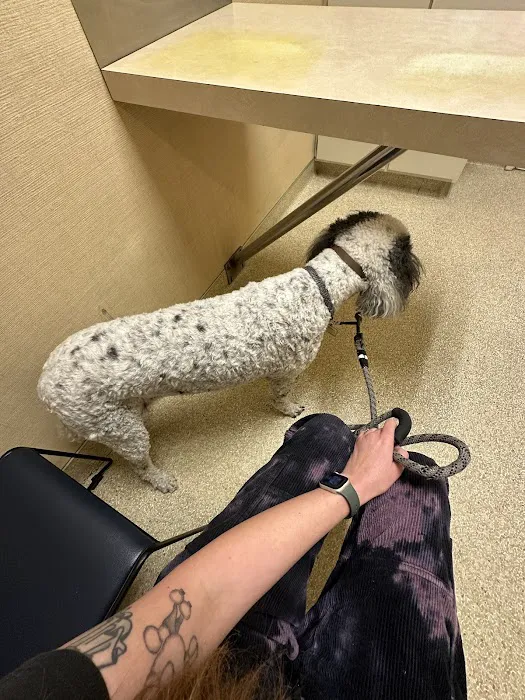 Rosemont Veterinary Hospital Picture 2