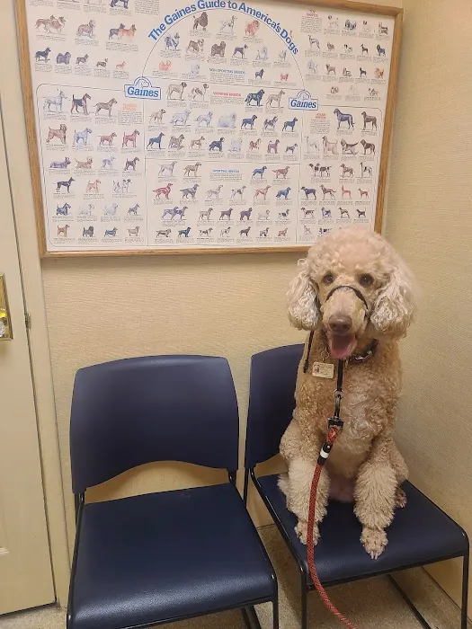 Rosemont Veterinary Hospital Picture 1