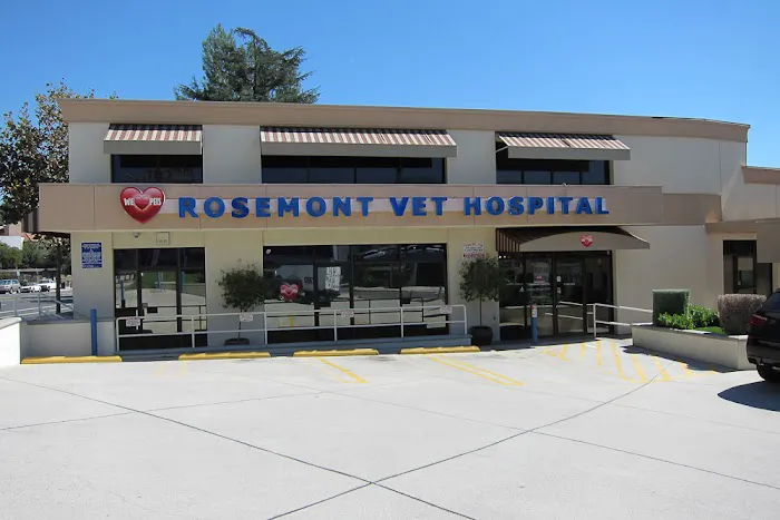 Rosemont Veterinary Hospital Picture 7