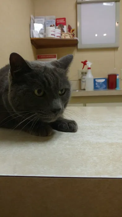 Rosemont Veterinary Hospital Picture 8