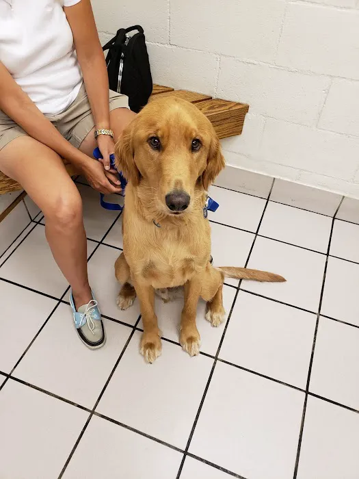 Hillcrest Pet Hospital Picture 1