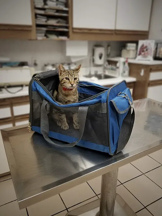 Hillcrest Pet Hospital Picture 2