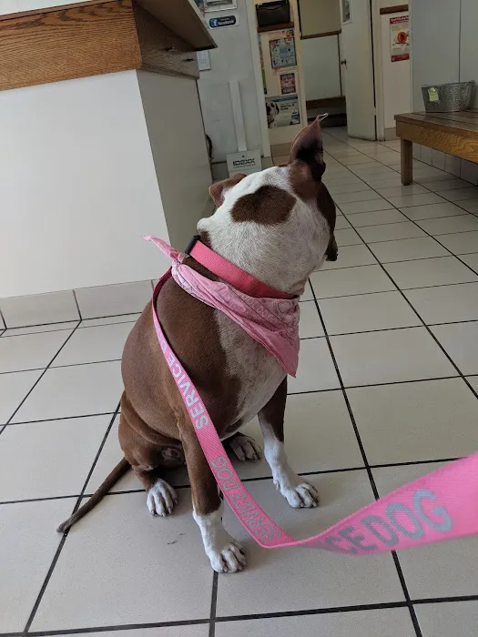 Hillcrest Pet Hospital Picture 8