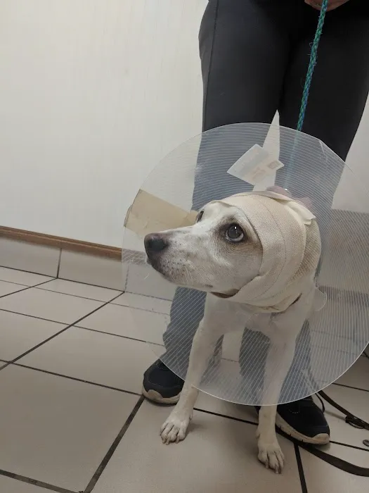 Hillcrest Pet Hospital Picture 10