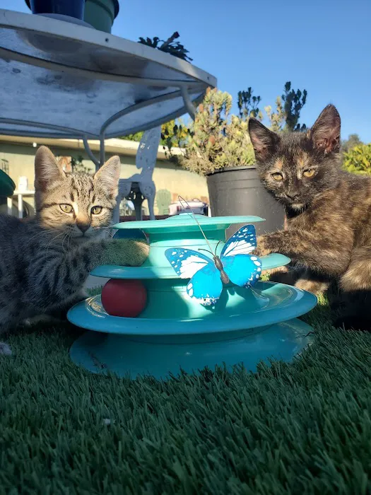 Montrose Pet Hospital Picture 4