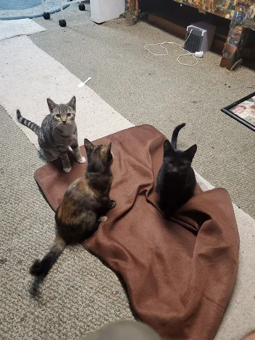 Montrose Pet Hospital Picture 2