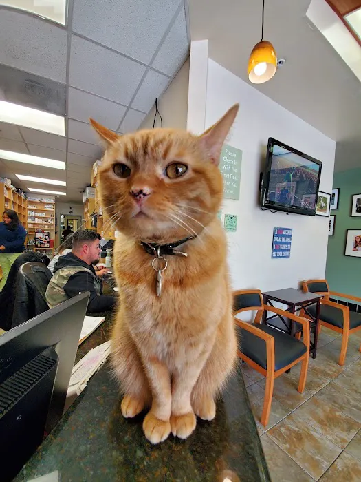 Montrose Pet Hospital Picture 10