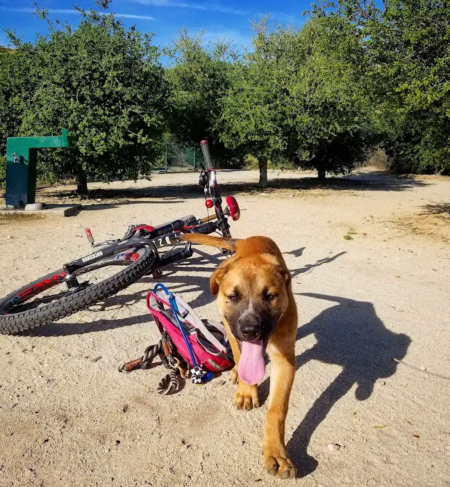La Cañada Pet Clinic Picture 2