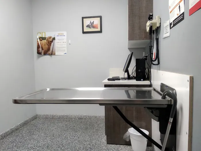 Pet Cure Veterinary Center Picture 10