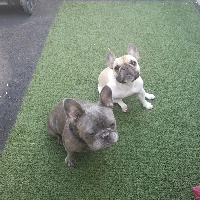 Morley Animal Hospital Picture 8