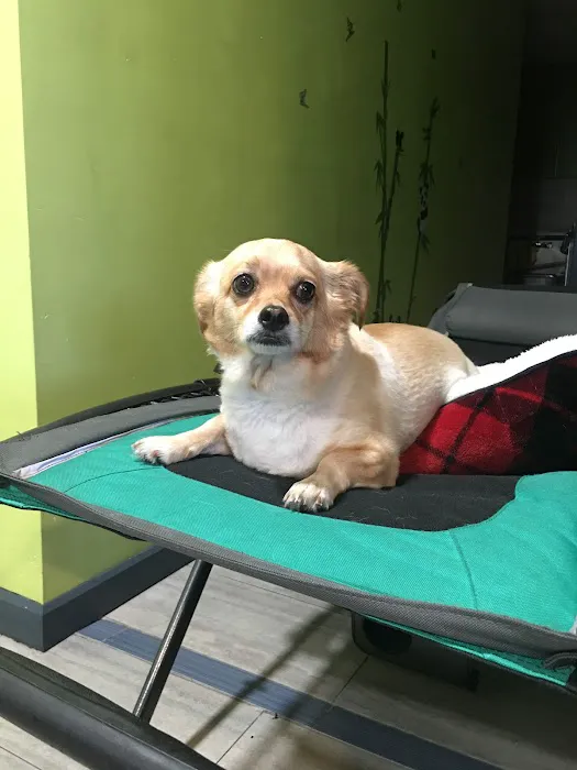 Morley Animal Hospital Picture 4