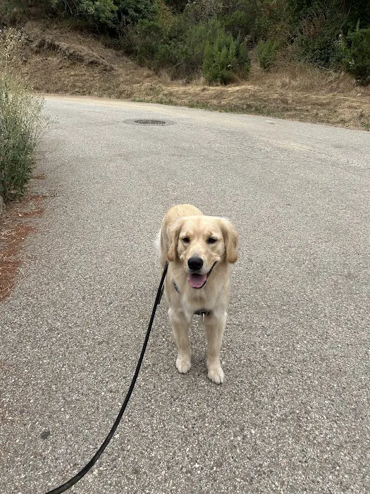 Low Cost Pet Vaccines of Los Angeles - One Generation Parking Lot Picture 5