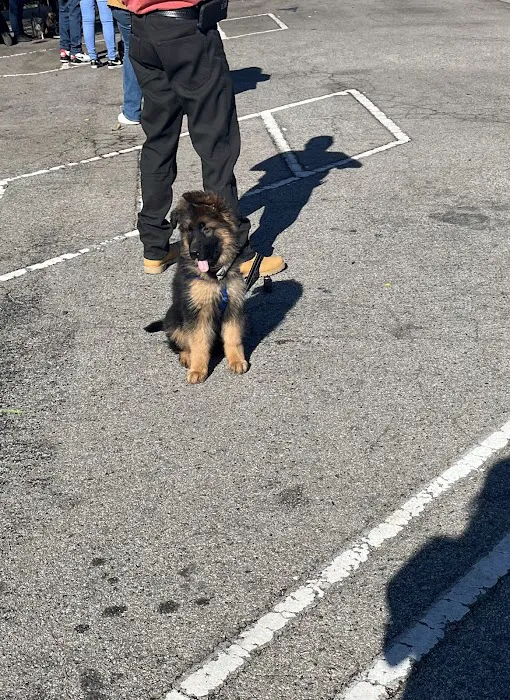 Low Cost Pet Vaccines of Los Angeles - One Generation Parking Lot Picture 6