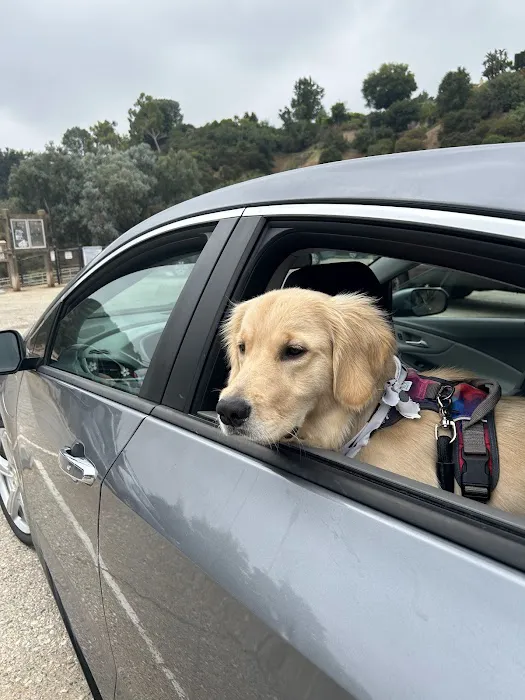 Low Cost Pet Vaccines of Los Angeles - One Generation Parking Lot Picture 4