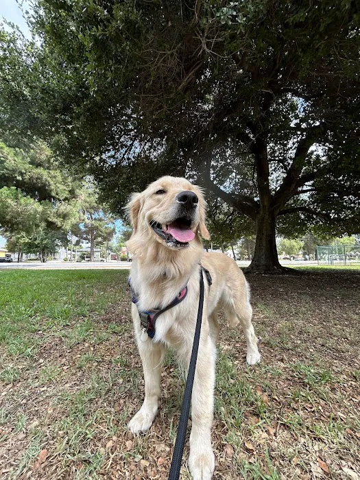 Low Cost Pet Vaccines of Los Angeles - One Generation Parking Lot Picture 10