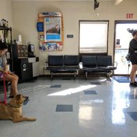VCA McClave Animal Hospital ico