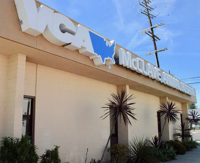 VCA McClave Animal Hospital Picture 5