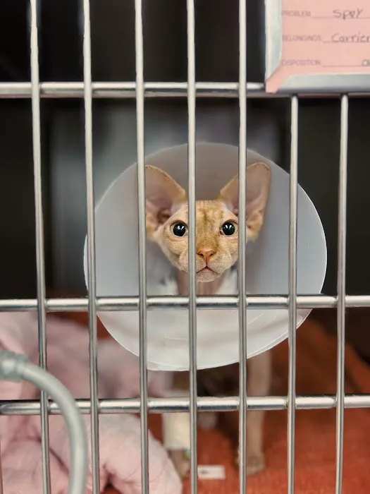 VCA McClave Animal Hospital Picture 7