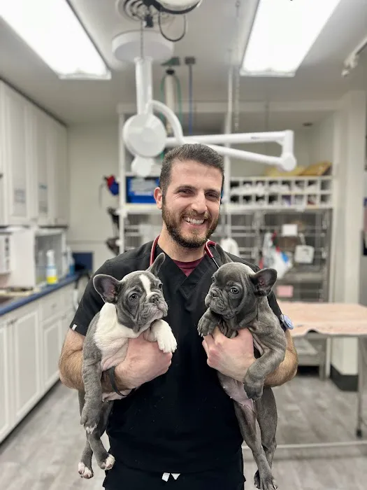 VCA McClave Animal Hospital Picture 10
