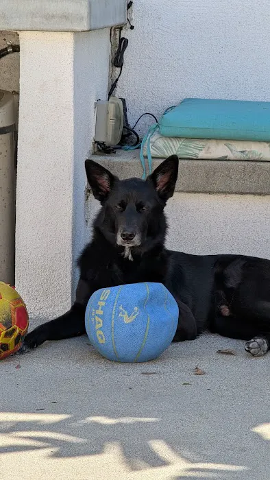 Animal Clinic of Encino Picture 8