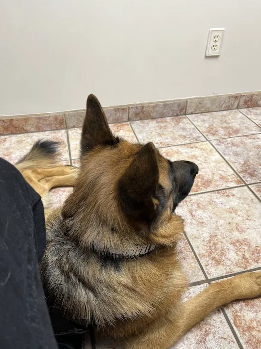 Animal Clinic of Encino Picture 10