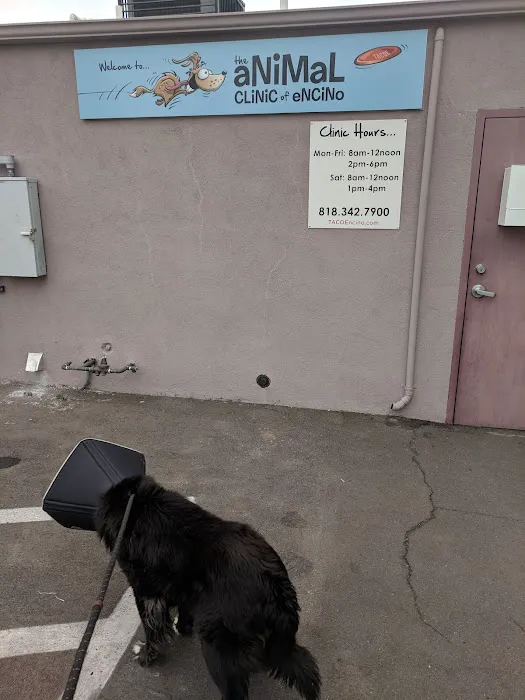 Animal Clinic of Encino Picture 9