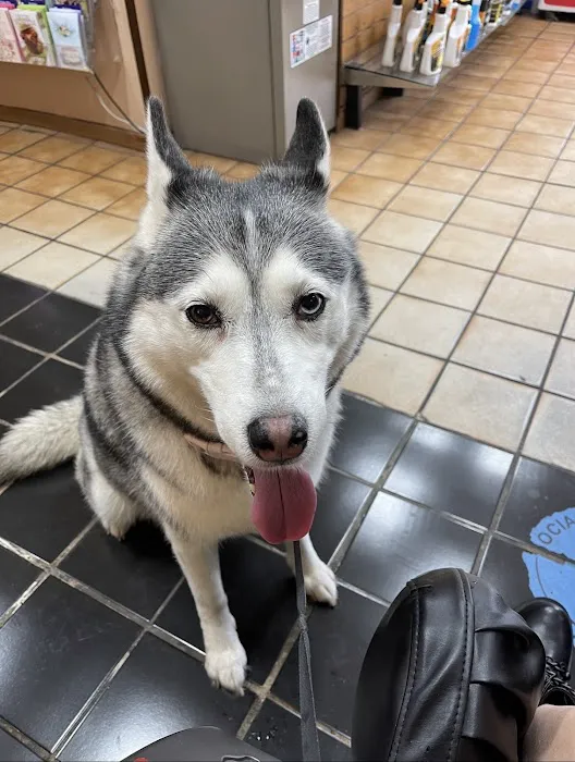 Tarzana Pet Clinic Picture 5