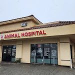 Los Olivos Animal Hospital Upland, Urgent care