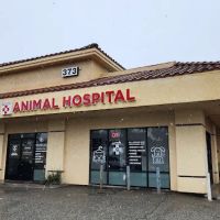 Los Olivos Animal Hospital Upland, Urgent care ico