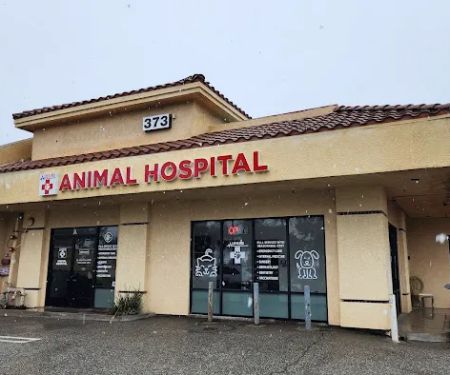 Los Olivos Animal Hospital Upland, Urgent care