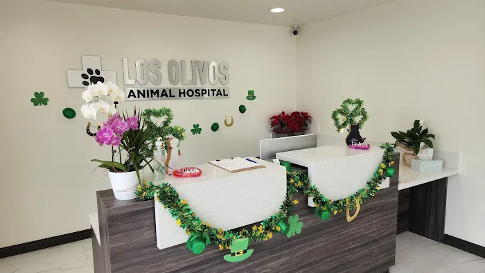 Los Olivos Animal Hospital Upland, Urgent care Picture 5