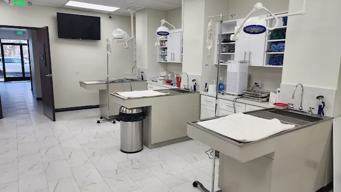Los Olivos Animal Hospital Upland, Urgent care Picture 7