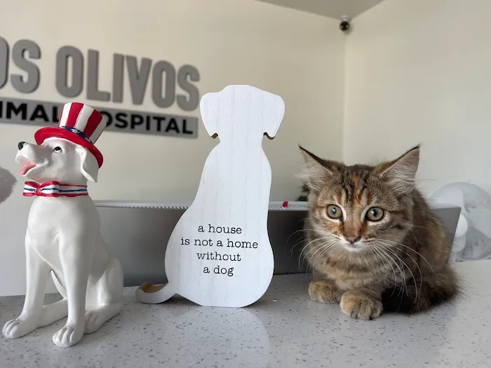 Los Olivos Animal Hospital Upland, Urgent care Picture 4