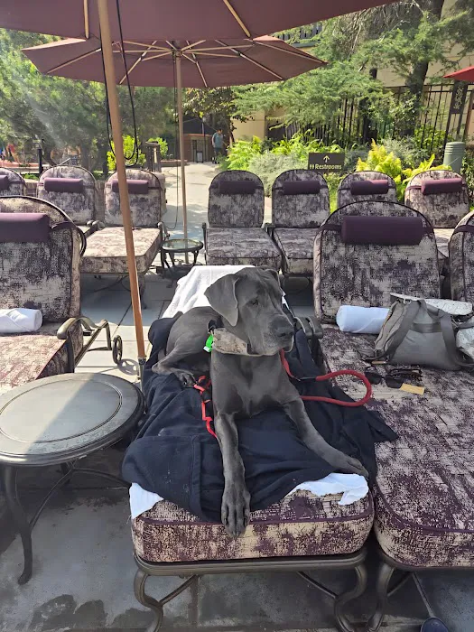 Los Olivos Animal Medical Center Upland, Urgent care Picture 5
