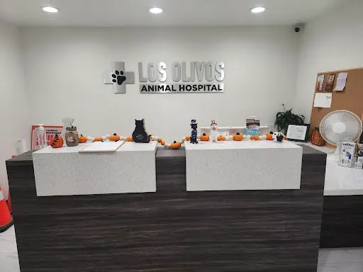 Los Olivos Animal Medical Center Upland, Urgent care Picture 9