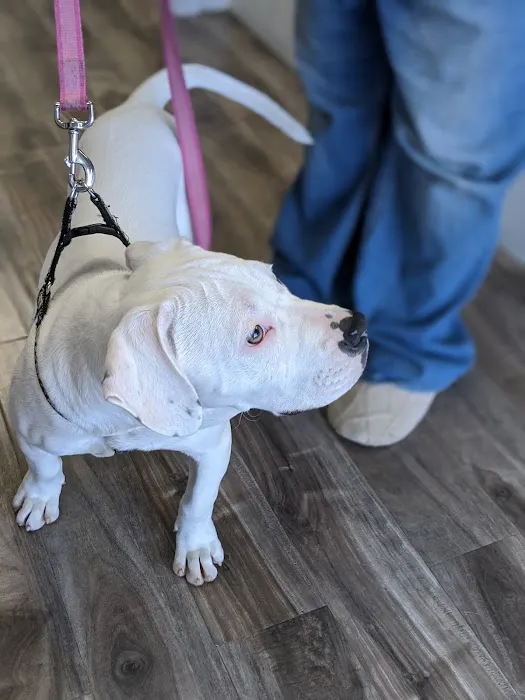 Inland Animal Hospital Picture 3