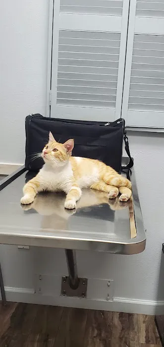 Inland Animal Hospital Picture 6