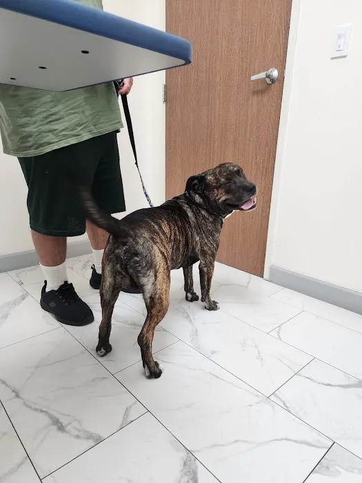Inland Animal Hospital Picture 10