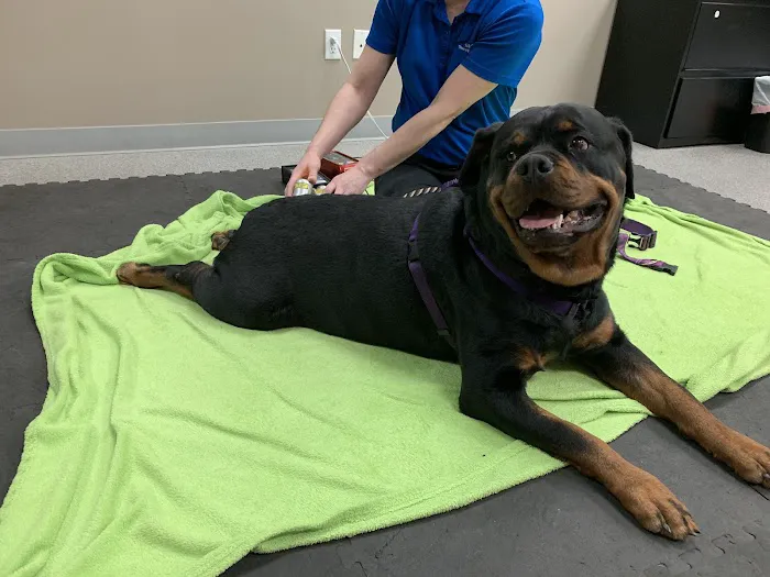 Back To Health Veterinary Services Picture 1