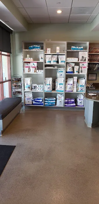 Animal Dermatology Clinic Picture 8