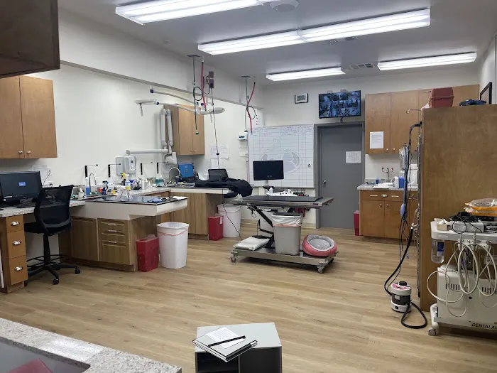 Upland Animal Hospital Picture 4