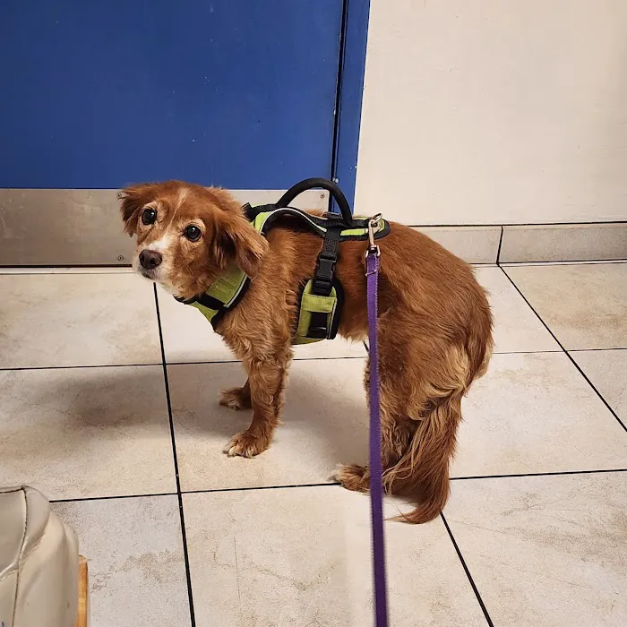 Upland Animal Hospital Picture 7