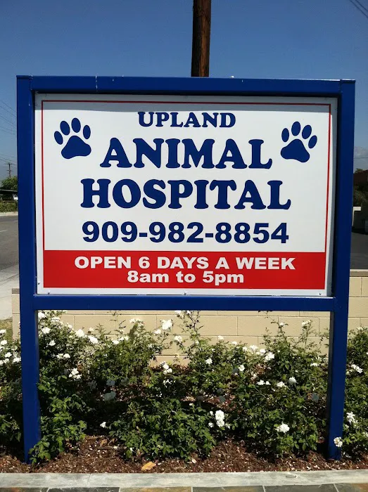 Upland Animal Hospital Picture 10