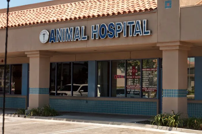 A R Animal Hospital Picture 4