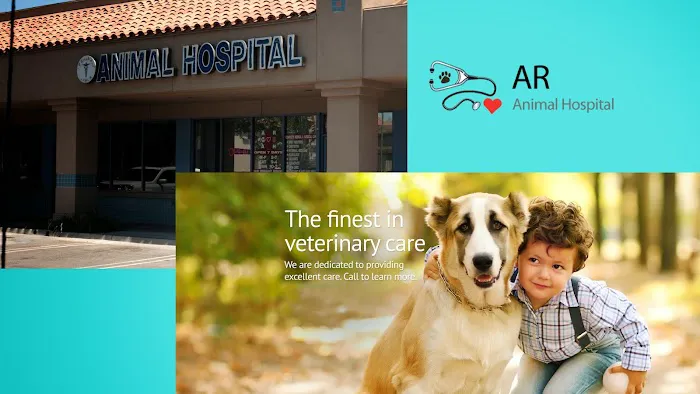 A R Animal Hospital Picture 9