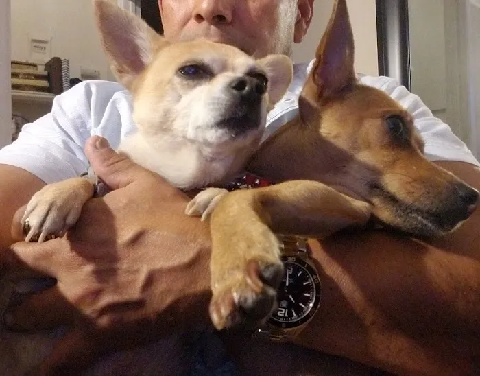 Angels' Care Animal Hospital Picture 7