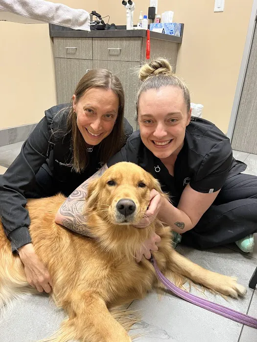 Veterinary Eye Institute Upland Picture 7