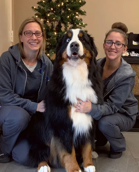 Veterinary Eye Institute Upland Picture 8