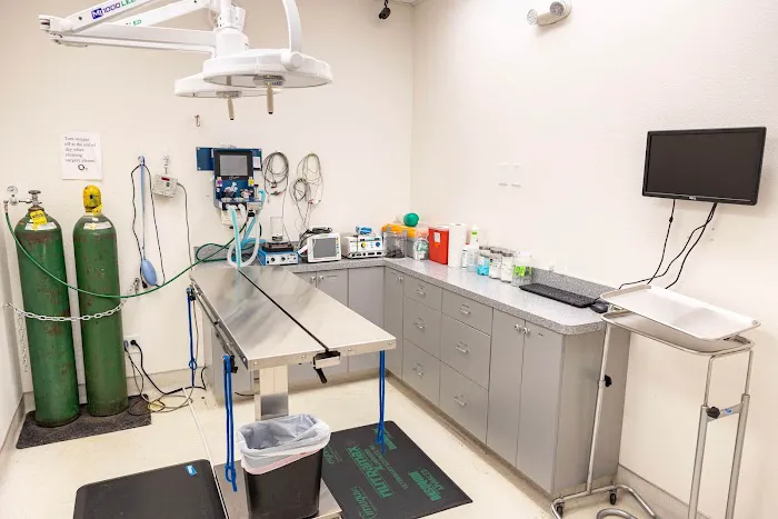 Pet Time Animal Hospital Picture 1